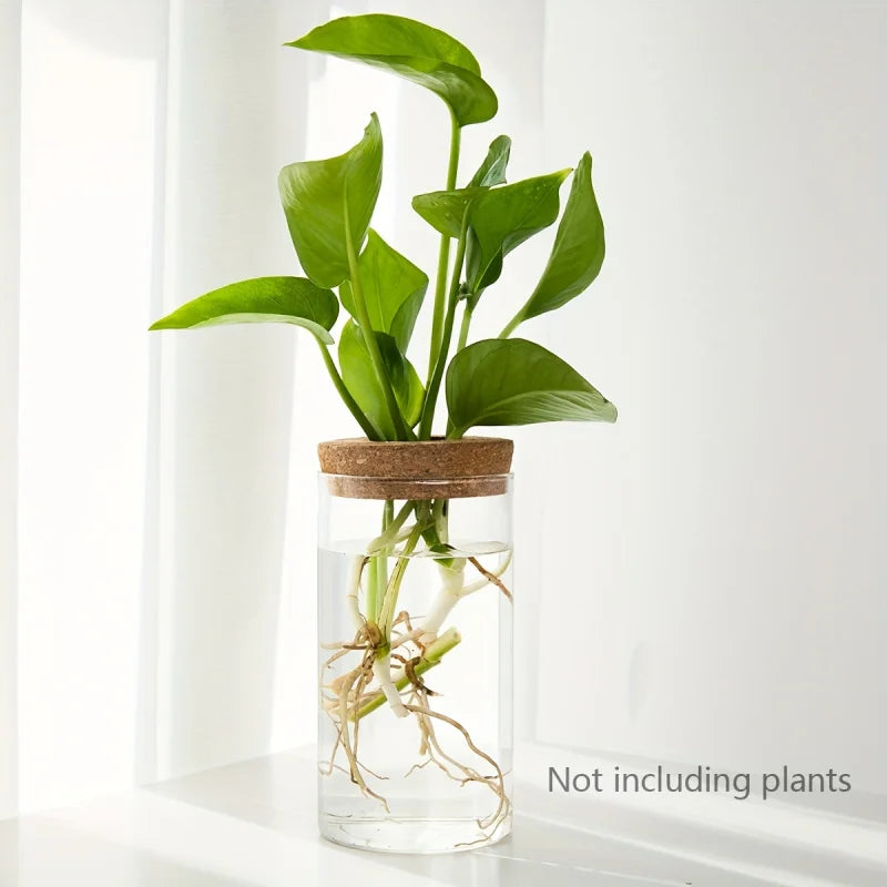 Glass Hydroponic Plant Vase