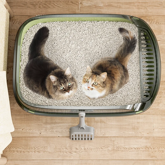 Semi-Enclosed Cat Litter Box with High Sides and Splashproof Design