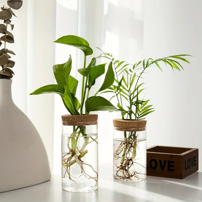 Glass Hydroponic Plant Vase