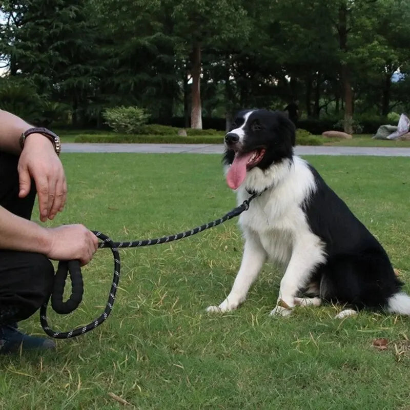 Reflective Nylon Dog Leash – Durable, Tangle-Free Design for Safe Walking Without Strangulation