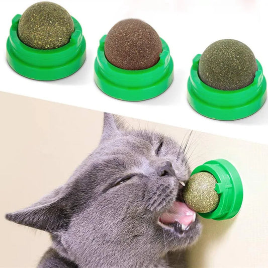 Natural Catnip Wall Ball Toy for Cats – Stick-On Scratchers, Digestive Aid, and Healthy Treat with Cat Grass