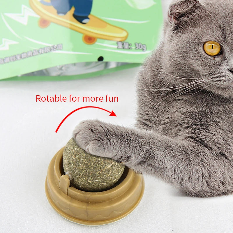 Natural Catnip Wall Ball Toy for Cats – Stick-On Scratchers, Digestive Aid, and Healthy Treat with Cat Grass