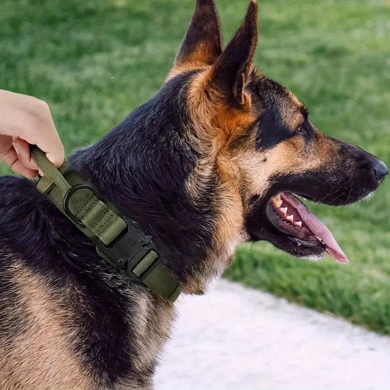 Heavy-Duty Tactical Dog Collar with Handle – Durable Training & Walking Collar with Patch for Medium and Large Dogs