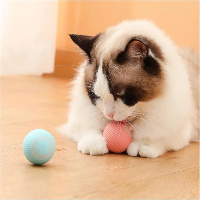 Smart Interactive Dog Toy Ball – USB Rechargeable Electronic Moving & Bouncing Ball for Puppies & Cats, Perfect Birthday Gift